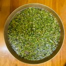 돈주로 | 봄 제철 음식 종류 맛집 해산물 봄나물