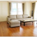 팔레드시즈 이미지