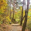 팔공산원효구도의길 | 팔공산·원효 구도의 길(241104-49번째)