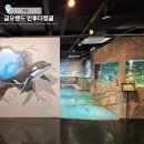 금오농장 | 구미 아이랑 실내 가볼만한 곳 금오랜드 인투더정글 동물원