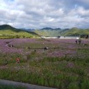 삼성행정사 이미지