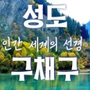 주식회사 성도 네이버블로그