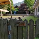 엘리스산장 이미지