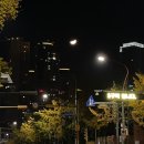 한스애기김밥 이미지