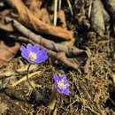 팔현1리 마을회관 이미지