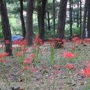 무양공원 이미지