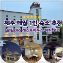 너나드리게스트하우스 | 제주 애월 오션뷰 1인 숙소 제주 끌림365 애월 게스트하우스 파티 후기
