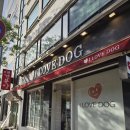 강아지분양 애견입양 아이러브독 수원점 말티푸미니비숑포메 이미지