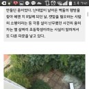 초등생 '장난'으로 밝혀진 용인 캣맘 사건의 전말 이미지