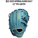 윌슨 a2000 sa17 오타니모델삽니다 이미지