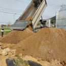 별립산농장 이미지