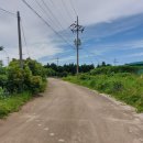 온평리-10 이미지