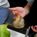 윤희네 | 부안 변산반도 | 스끼다시 푸짐한 횟집, 격포어촌계회센타 B동 16호 윤희네집 방문 후기