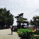 과원동로 이미지