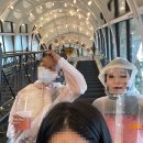 브레드 월드 이미지