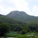 동박새우는집 이미지