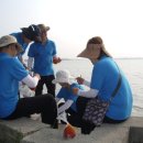 도대교회 이미지