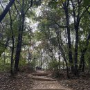 오리개1교 | [일상] 걸어보자, 서울 둘레길 7코스 [일자산코스] + 8코스 맛보기