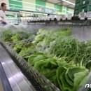논산농약마트