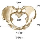 다리핏헬스케어