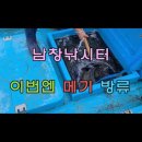 남창낚시터 이미지