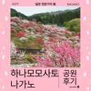 역참공원 | 나가노 사람들만 아는 벚꽃명소 아치무라 하나모모노사토