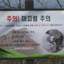 돼지골 이미지