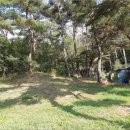 내서읍126 이미지