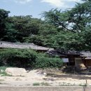 회원동225 이미지