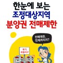 한눈에 보는 조정대상지역 분양권 전매제한 이미지