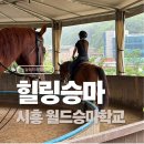 주식회사 힐링 | 시흥 월드승마학교 성인 취미승마 힐링승마 지원사업 강습 후기, 신청 방법과 꿀팁