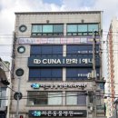 도그살롱바른핏 이미지