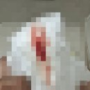 경주사 | [39주] 순병원 초산 임당산모 자연분만 출산 후기 (feat. 자연진통, 이슬, 무통주사)