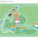 춘천애견체험박물관 이미지