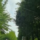 청강만화역사박물관 | 이천 만화역사박물관 청강만화역사박물관 만화박물관
