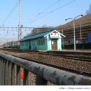 일산4리 이미지