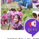 고초령 산양삼 이미지