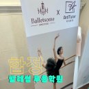썸(SOME) | 합정취미발레 발레썸 비기닝 수업 후기