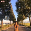 죽동마을 이미지