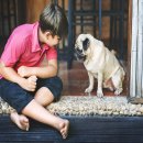 25시동물병원 이미지