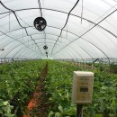 모정농장 이미지