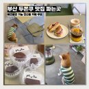 연산동 우체국 | 부산 두쫀쿠 맛집 파는곳 애견동반 가능 연산동 카페 무토