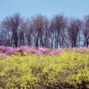 체담한방병원 이미지