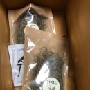 호박손마을 | 임신선물추천 임산부 배뭉침 / 조산기 / 자궁수축에 좋은 무농약 호박손차!!