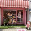 칸타삐야 이미지