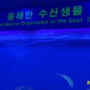 누리수산