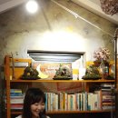 루시드봉봉 | 제주도게스트하우스 루시드봉봉 공연후기 ㅡ싱어송라이터 사라플라이.이희수.서울촌놈