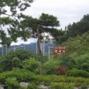 관곡지 (官谷池)