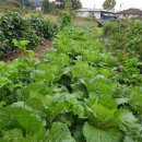 수문2농장 이미지