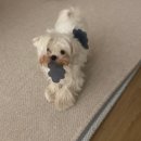 제이앤비 가족호텔 이미지